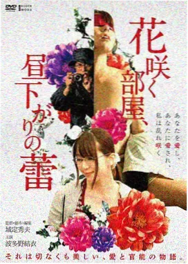 南方来信 法国新浪潮经典